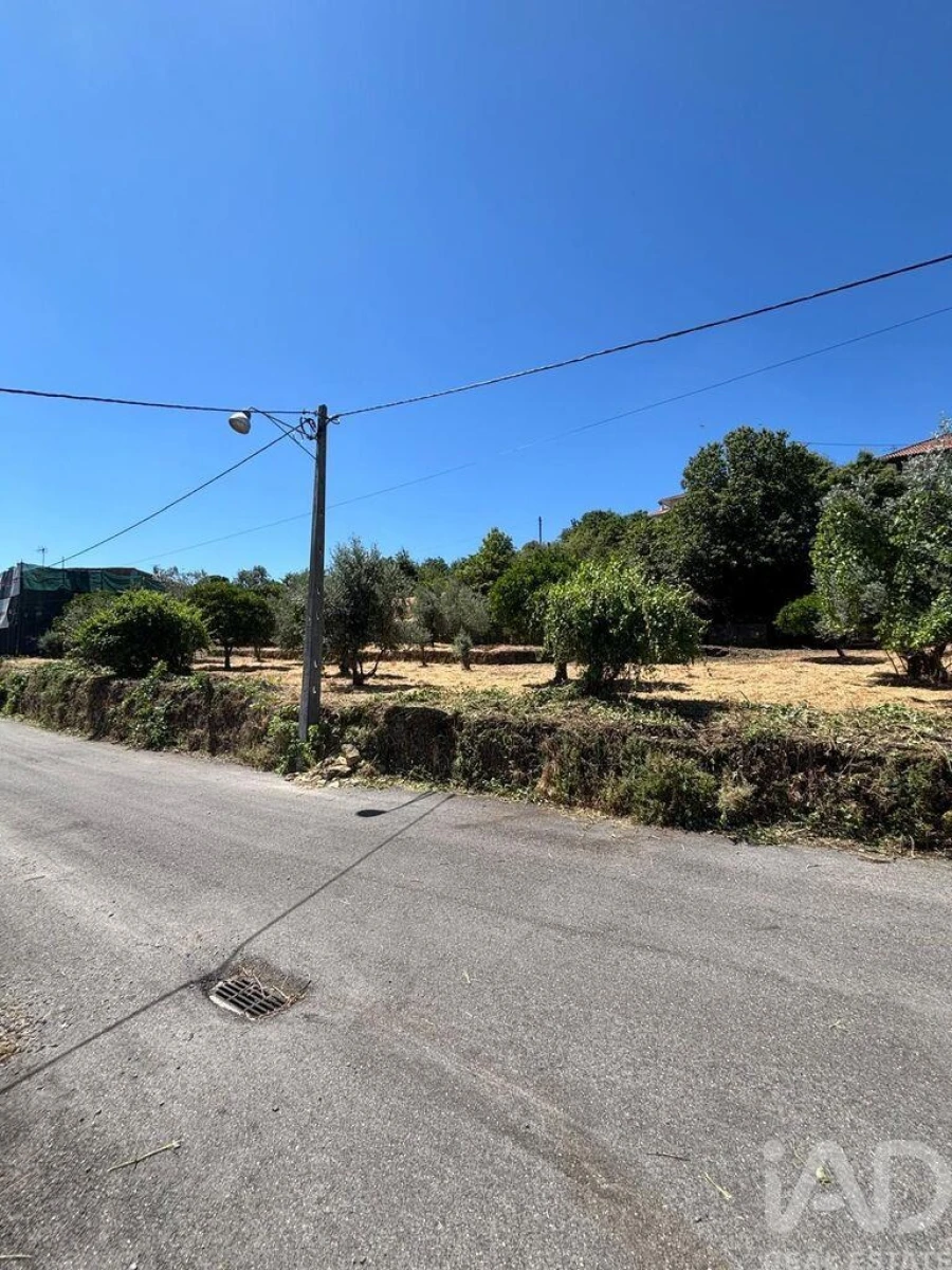 Terreno para Venda em Proença-A-Nova e Peral Foto 5