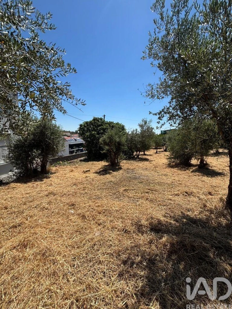 Terreno para Venda em Proença-A-Nova e Peral Foto 8