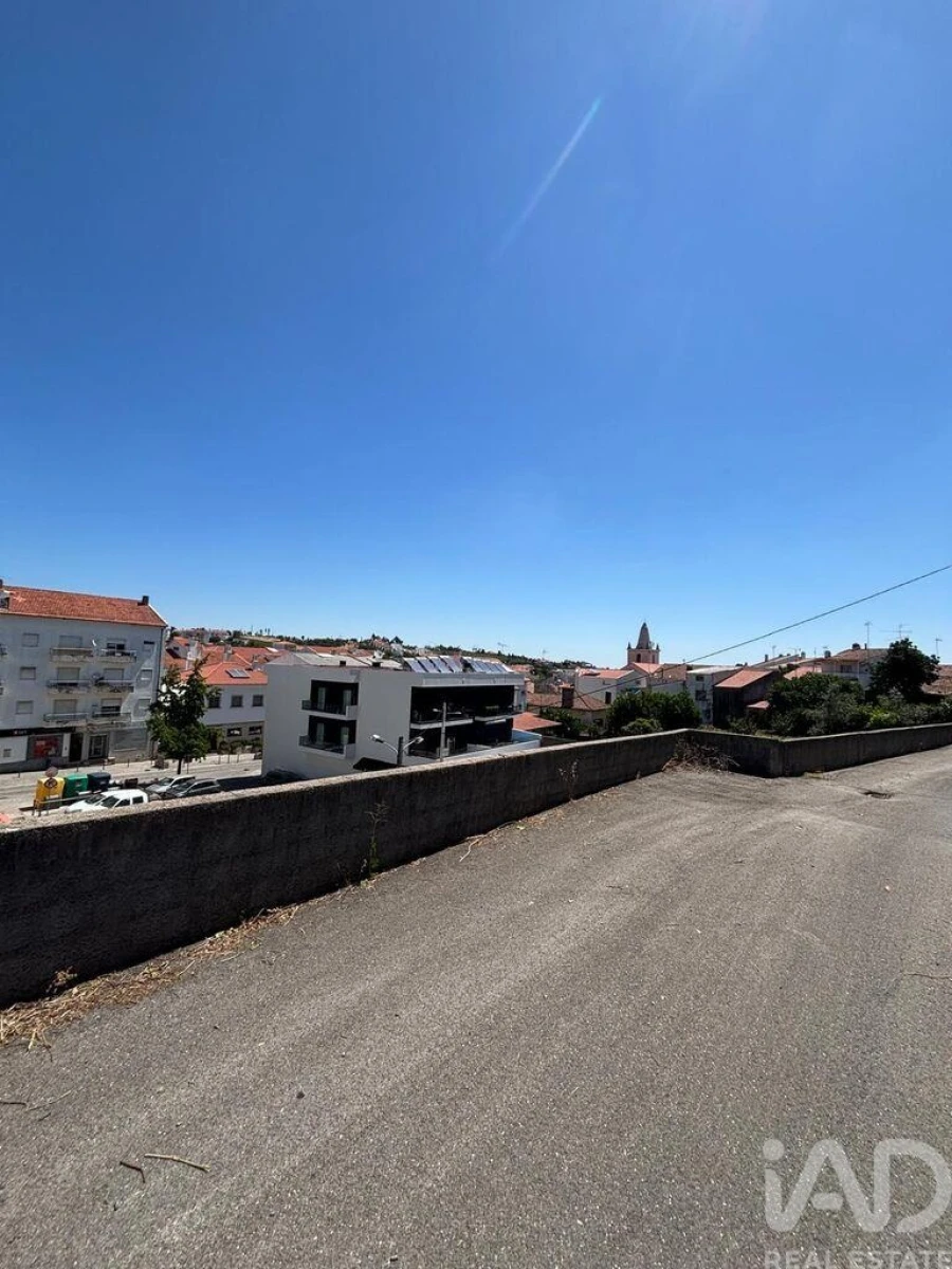 Terreno para Venda em Proença-A-Nova e Peral Foto 10