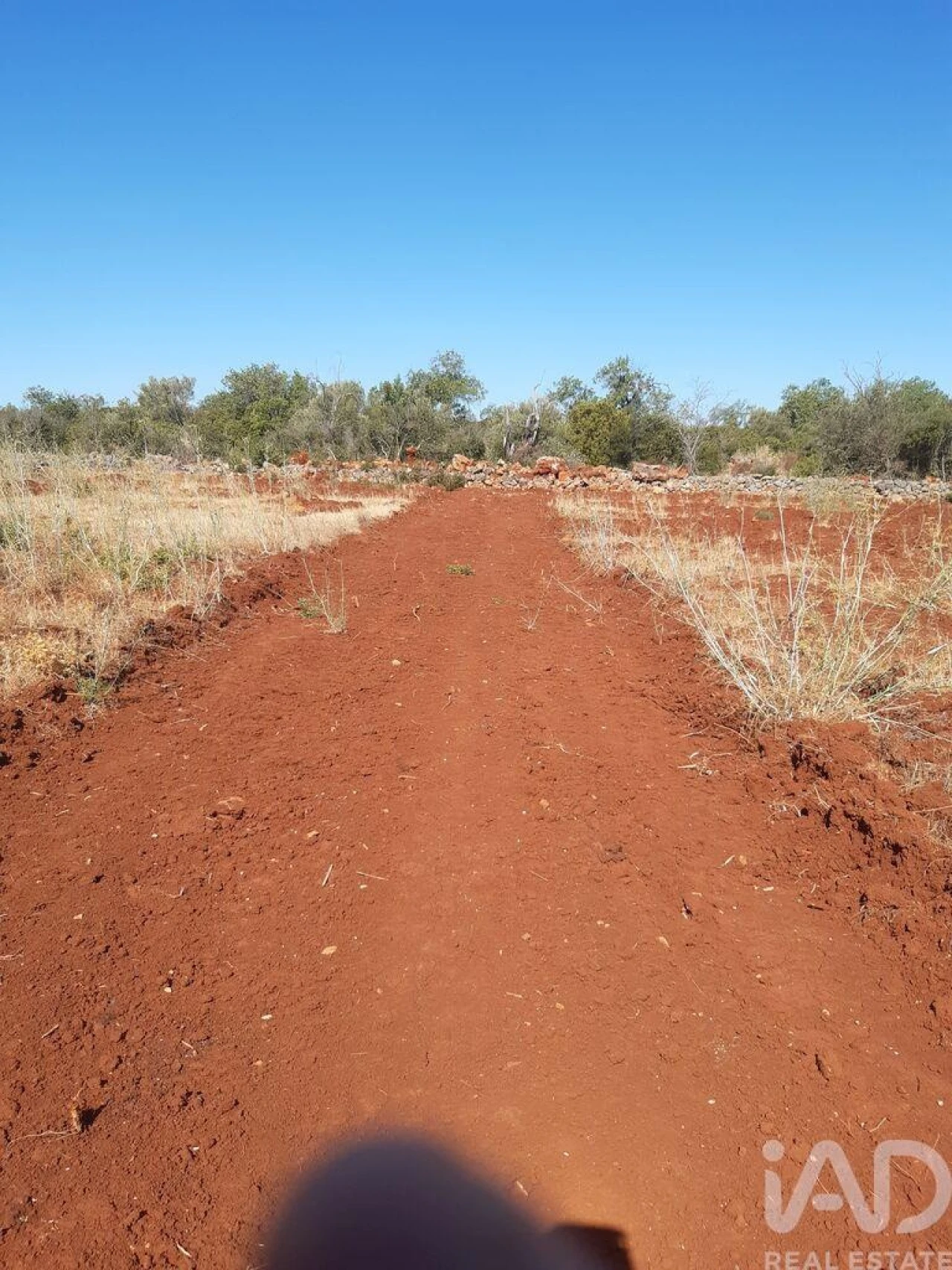 Terreno para Venda em Alte Foto 6
