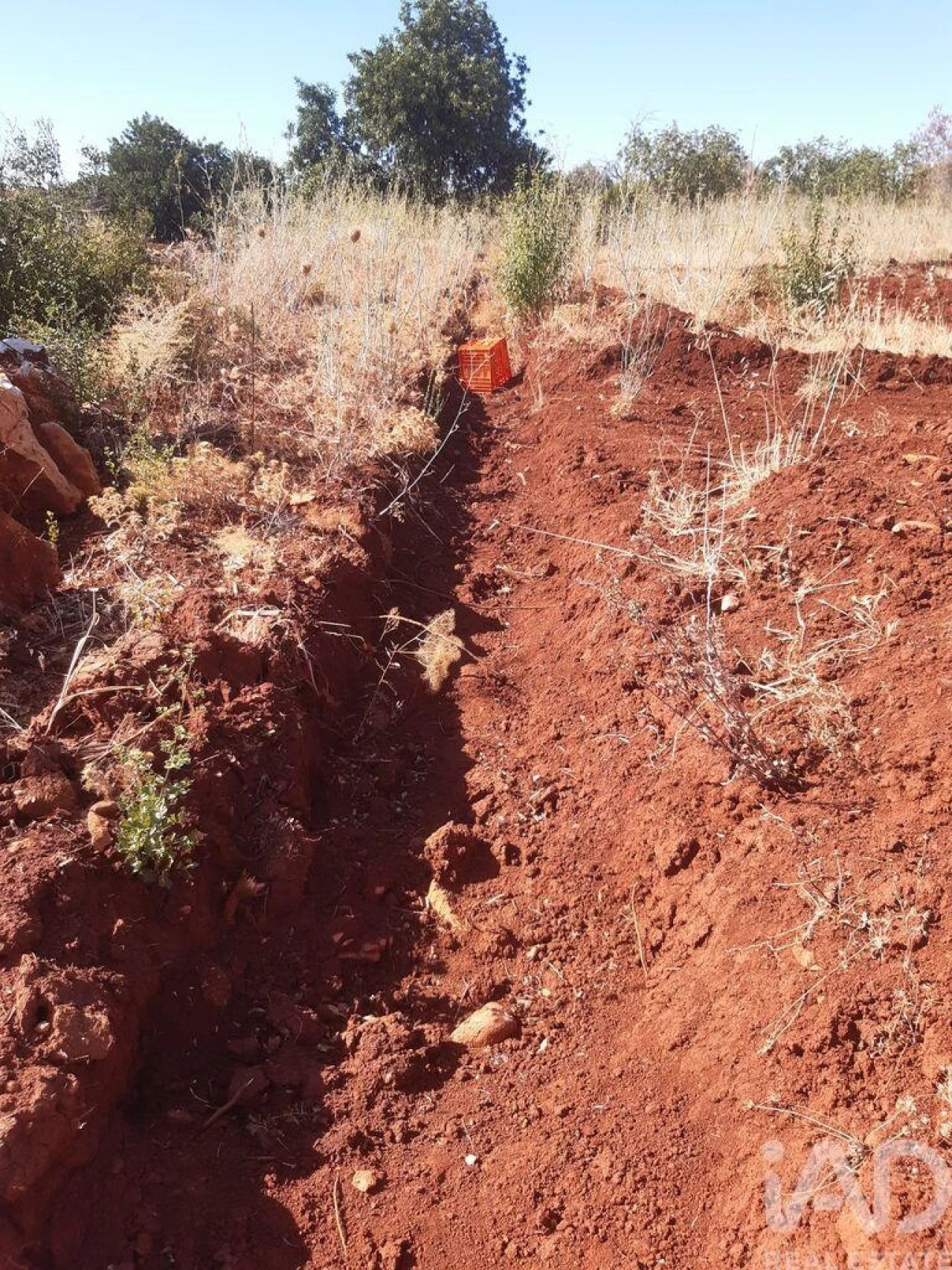 Terreno para Venda em Alte Foto 5