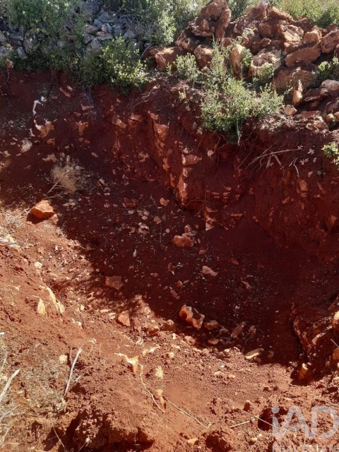 Terreno para Venda em Alte