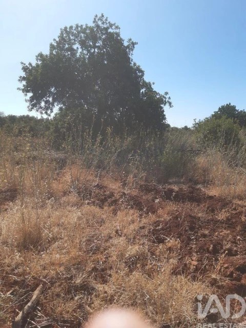 Terreno para Venda em Alte