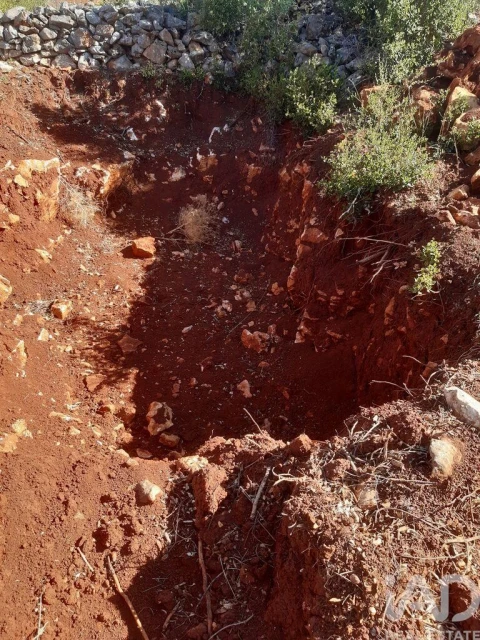 Terreno para Venda em Alte
