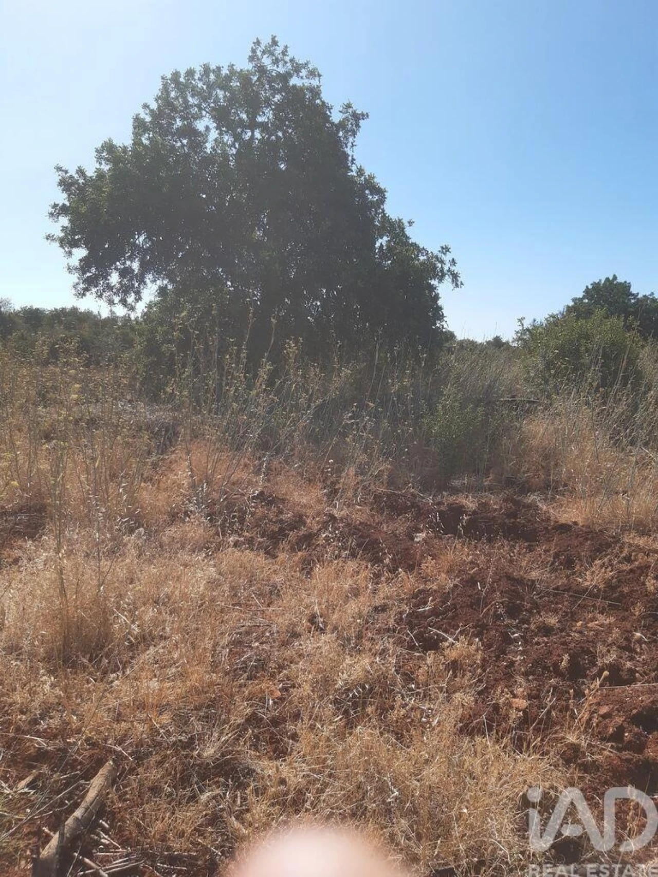Terreno para Venda em Alte Foto 8