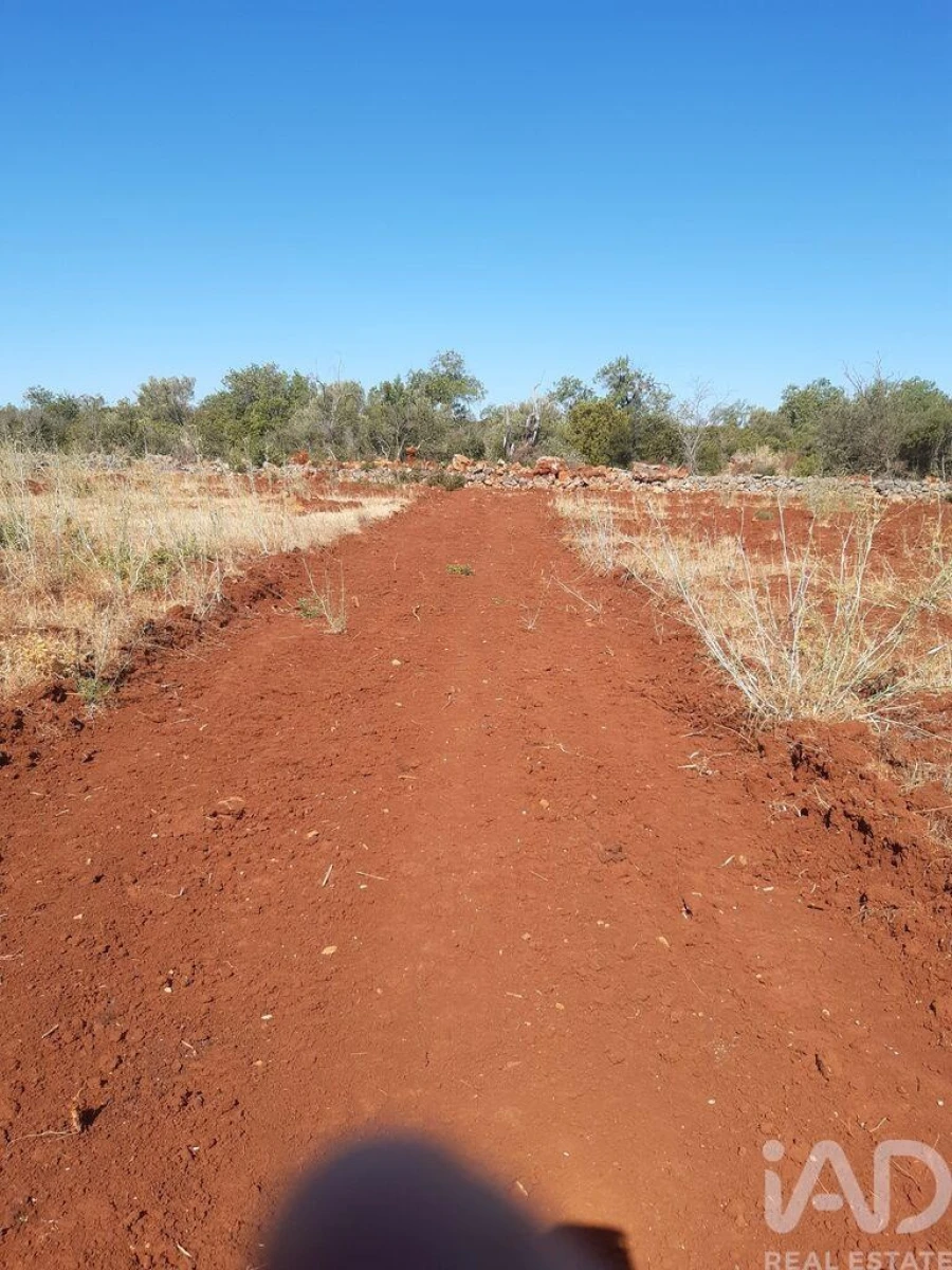 Terreno para Venda em Alte Foto 6