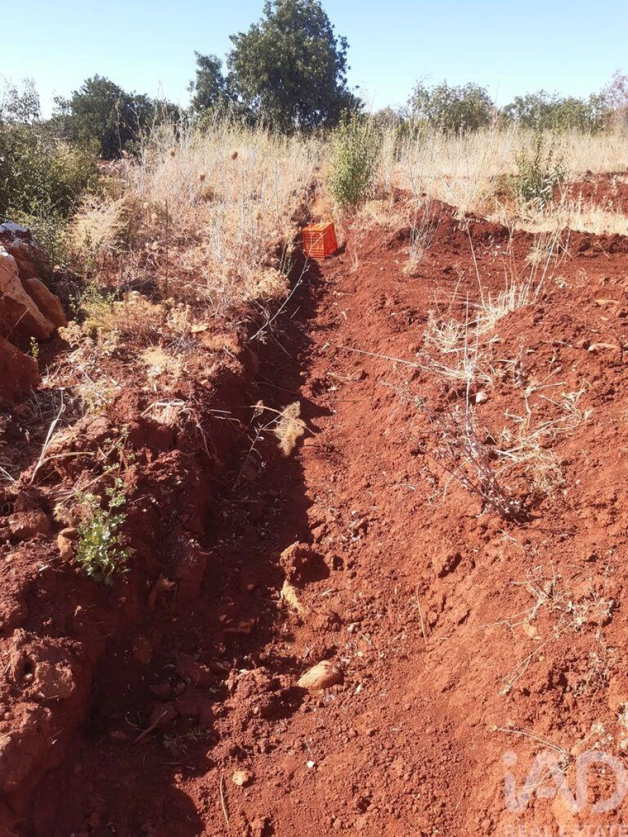 Terreno para Venda em Alte Foto 5