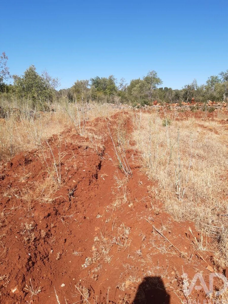 Terreno para Venda em Alte Foto 7