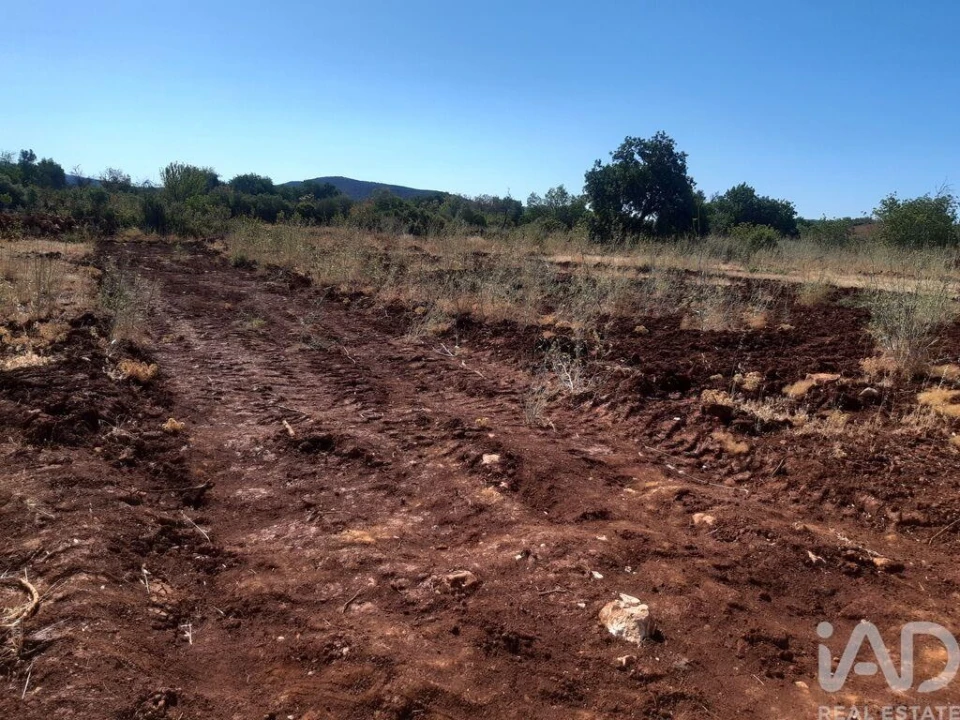Terreno para Venda em Alte Foto 1