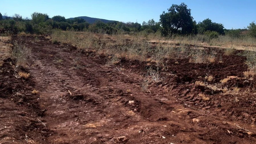 Terreno para Venda em Alte