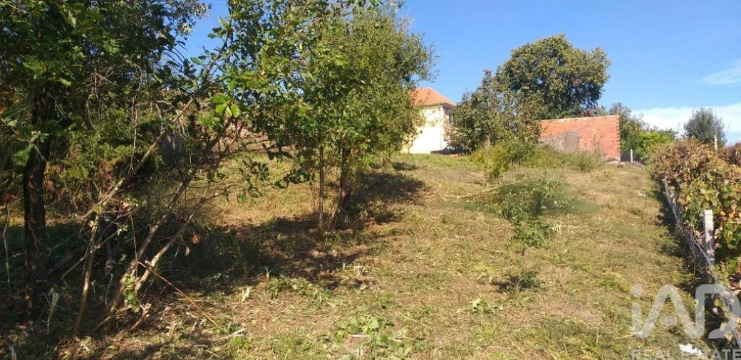 Moradia T3 para Venda em Santa Comba Dão e Couto do Mosteiro Foto 22
