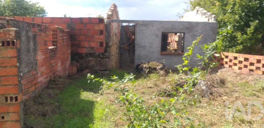 Moradia T3 para Venda em Santa Comba Dão e Couto do Mosteiro Foto 11