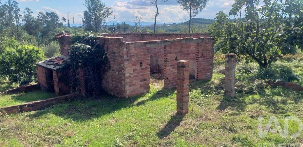 Moradia T3 para Venda em Santa Comba Dão e Couto do Mosteiro Foto 18