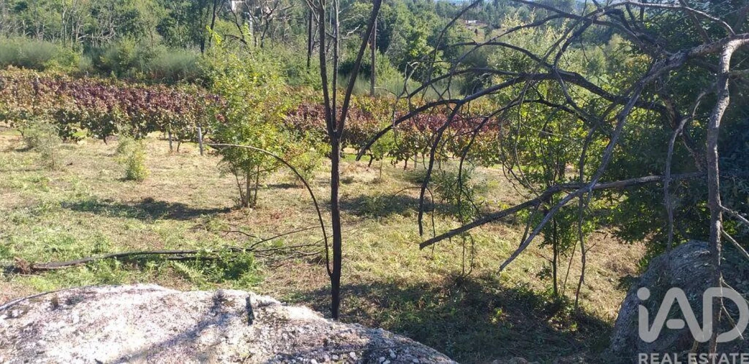 Moradia T3 para Venda em Santa Comba Dão e Couto do Mosteiro Foto 21