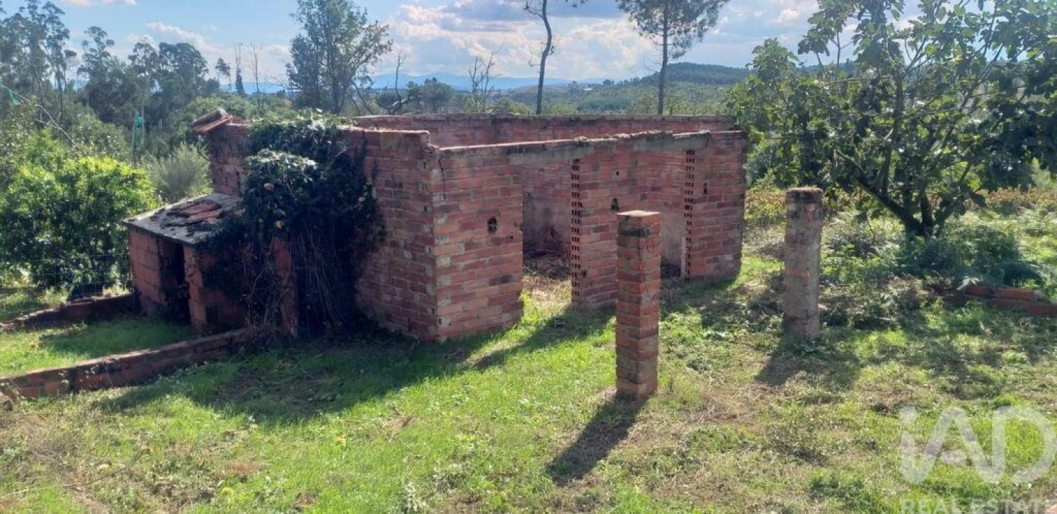 Moradia T3 para Venda em Santa Comba Dão e Couto do Mosteiro Foto 18