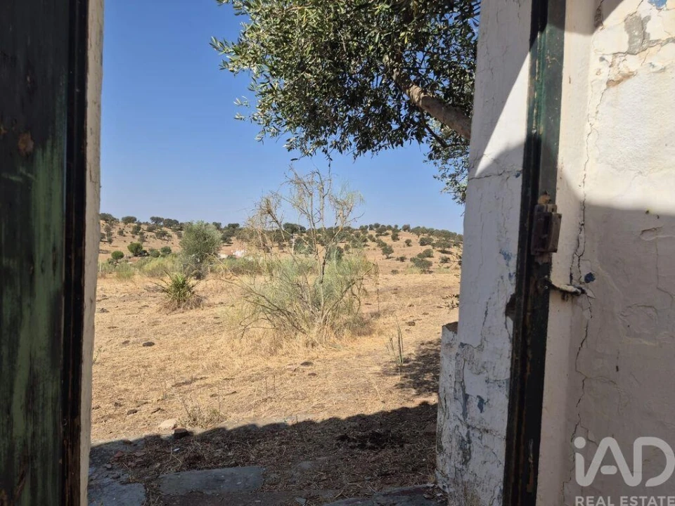 Quinta para Venda em Nossa Senhora da Conceição, São Brás dos Matos, Juromenha Foto 12