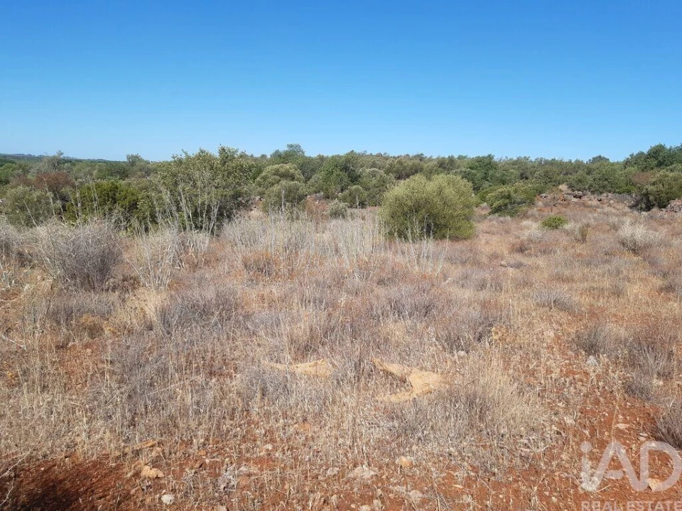 Terreno para Venda em Alte Foto 3