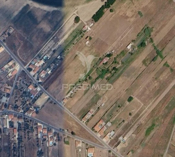 Terreno para Venda em Alpiarça Foto 4