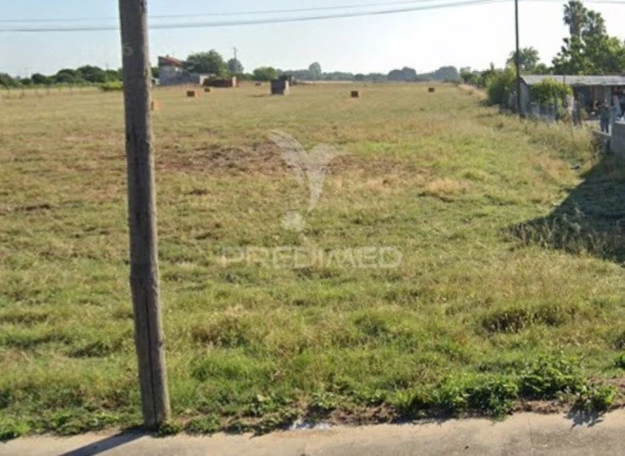 Terreno para Venda em Alpiarça Foto 2