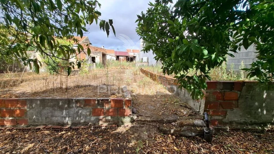 Moradia T1 para Venda em Alpiarça Foto 2