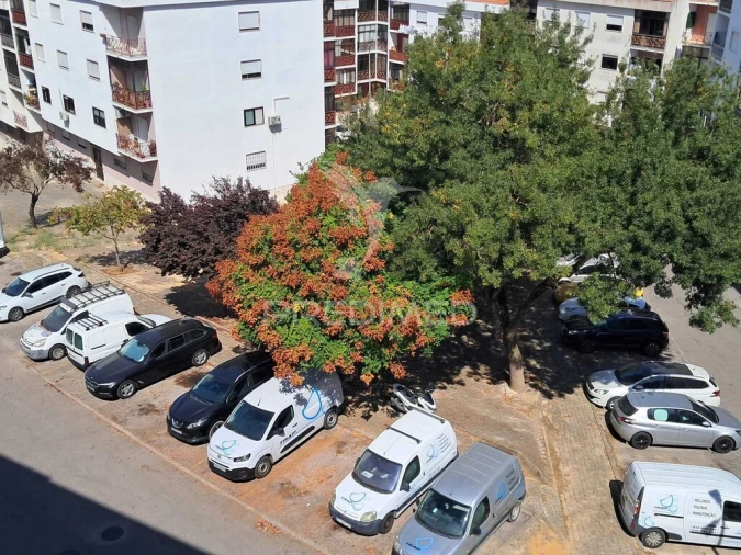 Apartamento T4 para Venda em Amora Foto 13