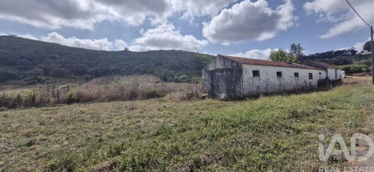 Terreno para Venda em Rio Maior Foto 6