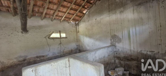 Terreno para Venda em Rio Maior