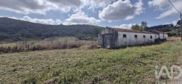 Terreno para Venda em Rio Maior
