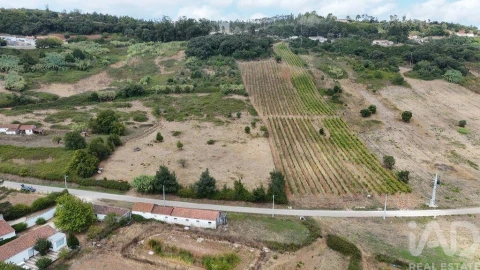 Terreno para Venda em Rio Maior