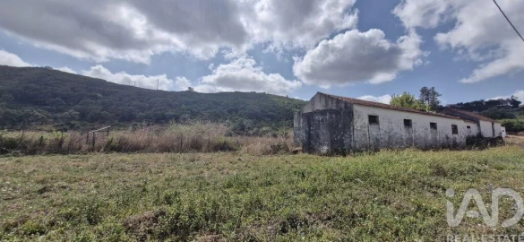 Terreno para Venda em Rio Maior