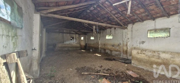 Terreno para Venda em Rio Maior
