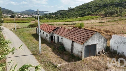Terreno para Venda em Rio Maior