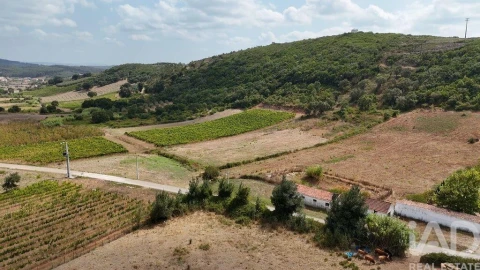 Terreno para Venda em Rio Maior