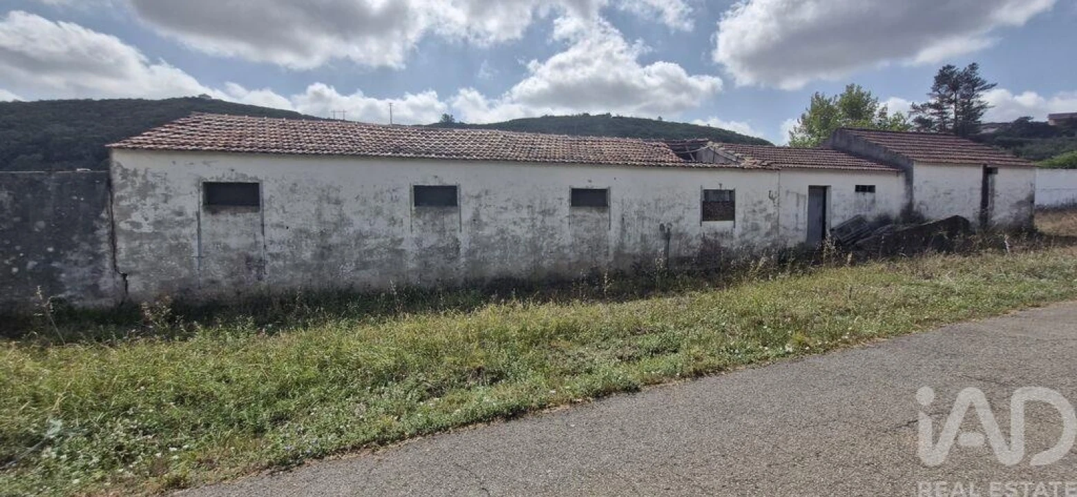 Terreno para Venda em Rio Maior Foto 3