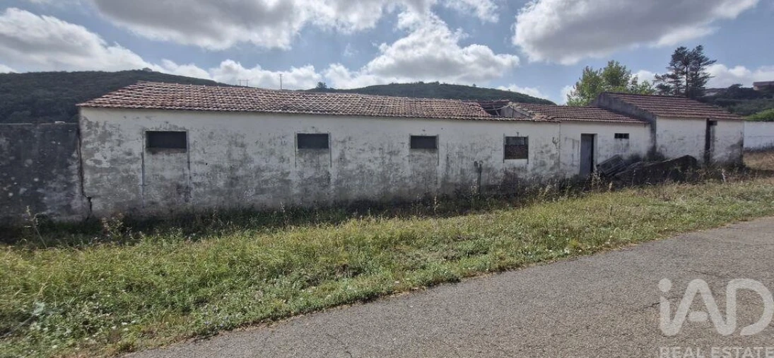 Terreno para Venda em Rio Maior Foto 3