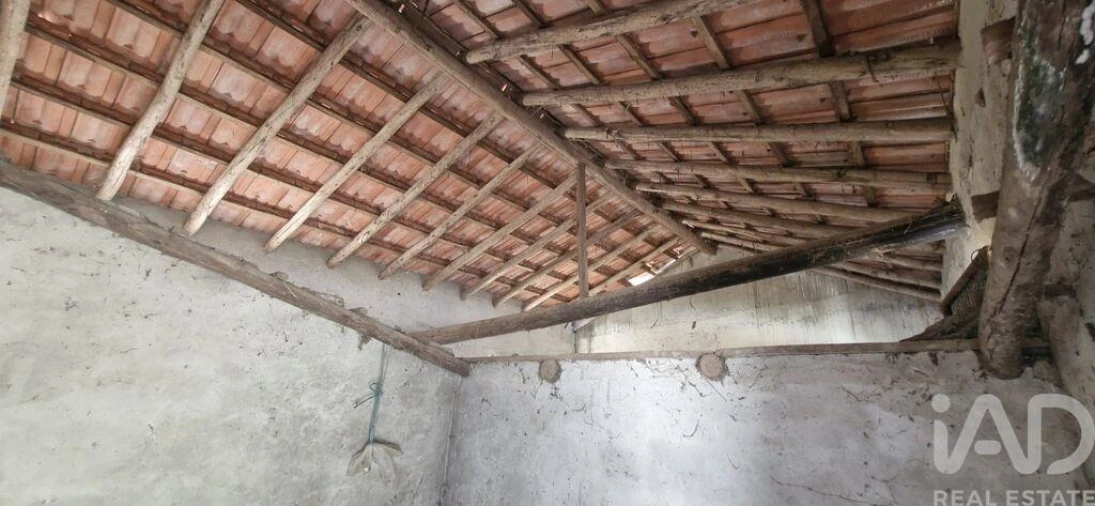 Terreno para Venda em Rio Maior Foto 8