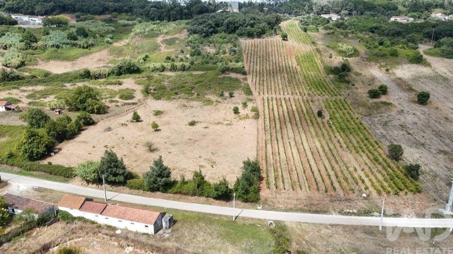 Terreno para Venda em Rio Maior Foto 28