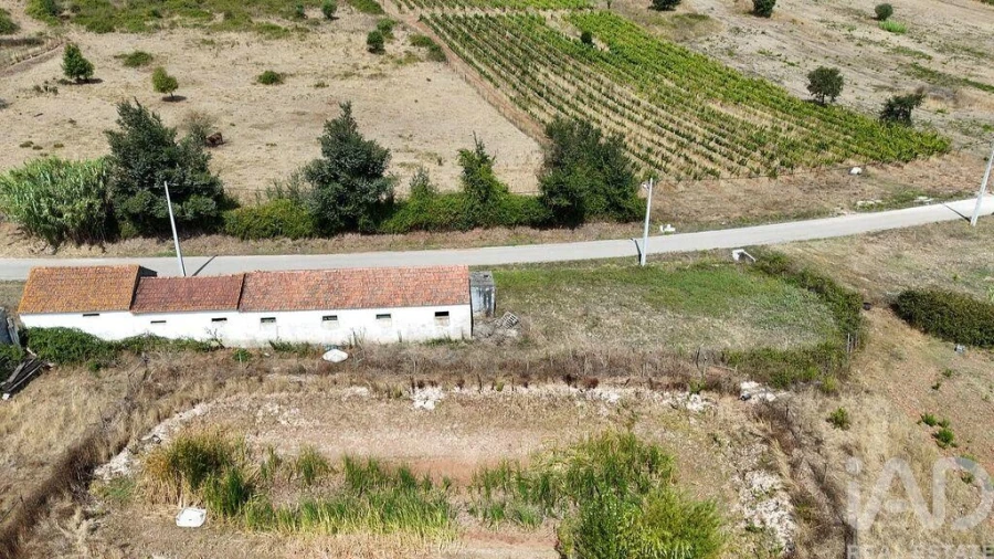 Terreno para Venda em Rio Maior Foto 14
