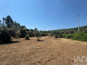 Terreno para Venda em Sobreira Formosa e Alvito da Beira