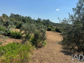 Terreno para Venda em Sobreira Formosa e Alvito da Beira