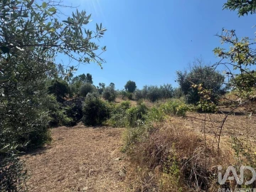 Terreno para Venda em Sobreira Formosa e Alvito da Beira