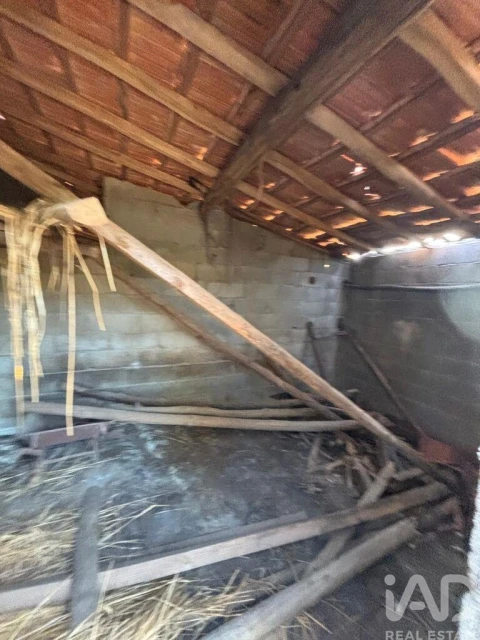 Terreno para Venda em Sobreira Formosa e Alvito da Beira