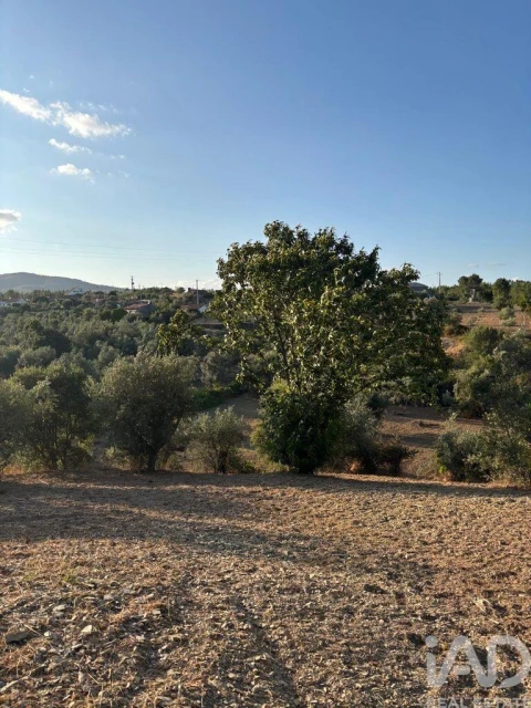 Terreno para Venda em Sobreira Formosa e Alvito da Beira