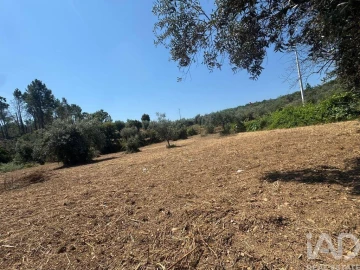 Terreno para Venda em Sobreira Formosa e Alvito da Beira