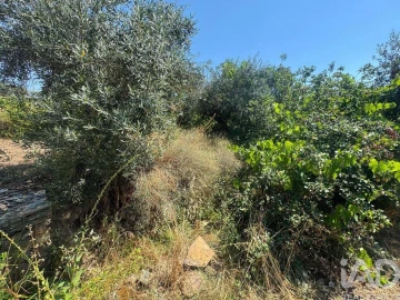 Terreno para Venda em Sobreira Formosa e Alvito da Beira