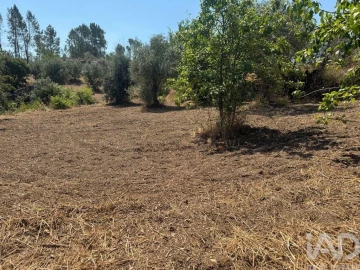 Terreno para Venda em Sobreira Formosa e Alvito da Beira
