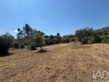 Terreno para Venda em Sobreira Formosa e Alvito da Beira
