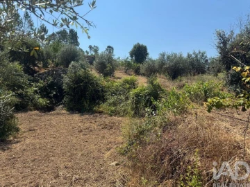 Terreno para Venda em Sobreira Formosa e Alvito da Beira