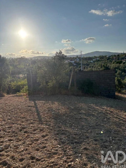 Terreno para Venda em Sobreira Formosa e Alvito da Beira