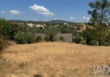 Terreno para Venda em Sobreira Formosa e Alvito da Beira
